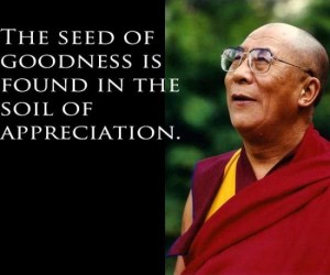 inspirerende quotes inspirational quotes citas de inspiración The seeds of goodness is foud in the soil of appreciation